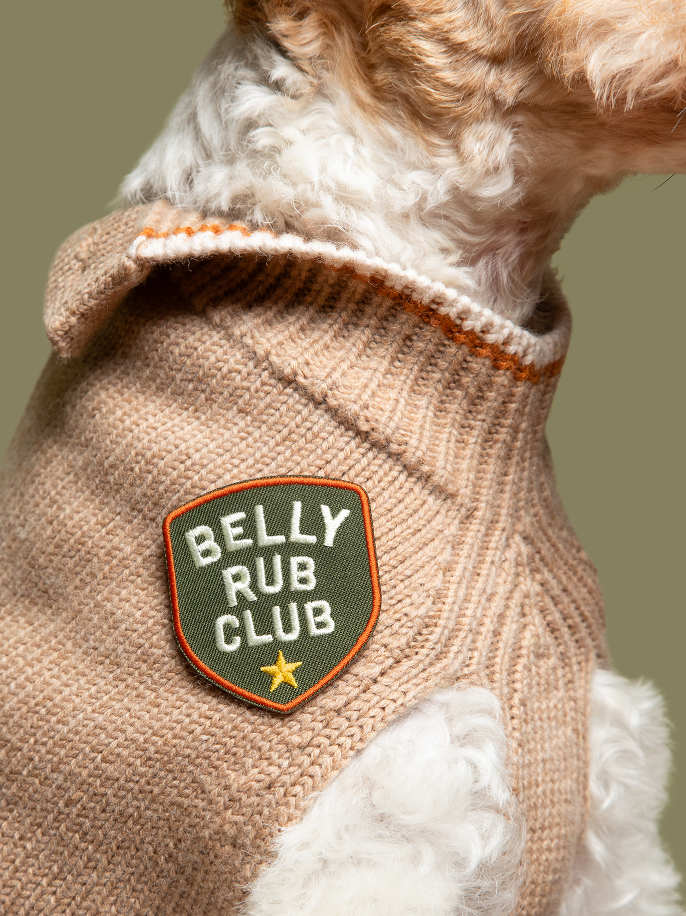 Belly Rub Club iron-on patch for dogs and cats
