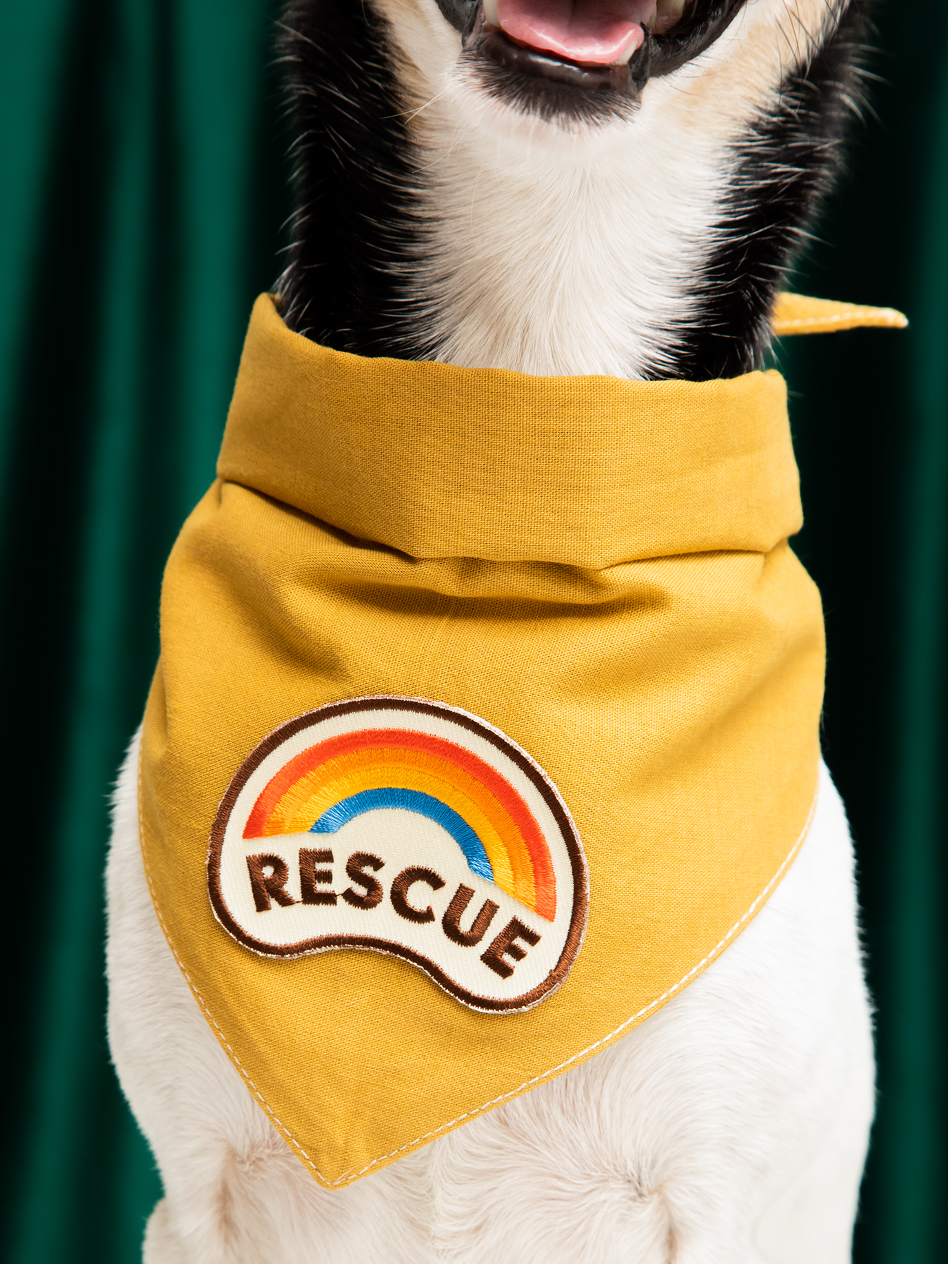 Rescue iron-on patch for dogs and cats