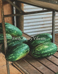 500g Amber Jar Soy Candle - PIP - Watermelon/Cucumber/Basil