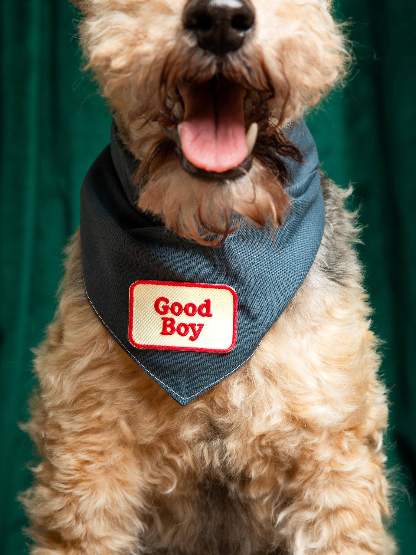 Good Boy iron-on patch for dogs and cats