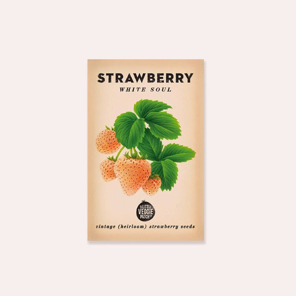 heirloom strawberry seeds Strawberry 'White Soul' Heirloom Seeds – Thinkers & Makers